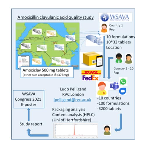 You are currently viewing Quality of Veterinary Oral Formulations of Amoxicillin/clavulanic Acid in Wsava Member Countries